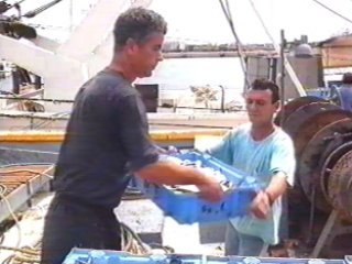pesca2 (7)  ALIMENTOS ELABORACION